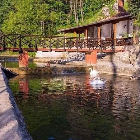Ferienwohnung Valja Mare Moma Golubac Exterior foto